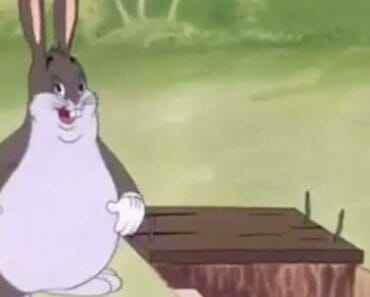 Is Big Chungus going to be the next character in Multiversus